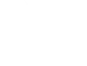 fun